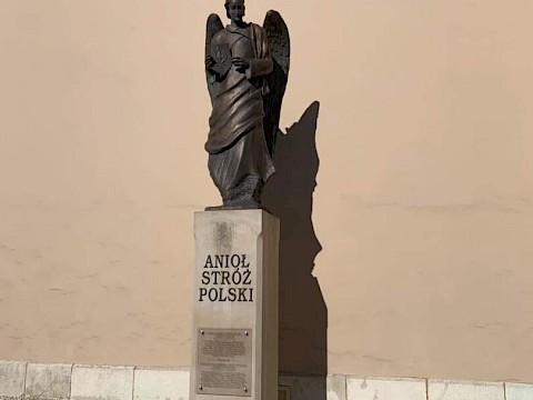 Zdjęcie 1 z 19