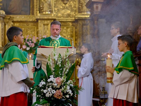 Zdjęcie 8 z 18