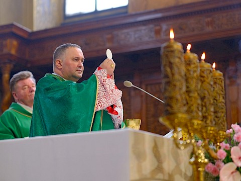 Zdjęcie 13 z 18