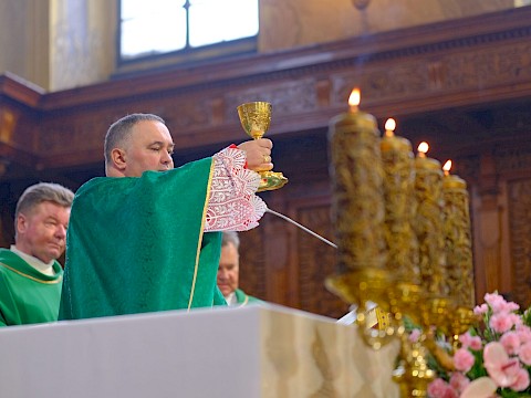 Zdjęcie 14 z 18