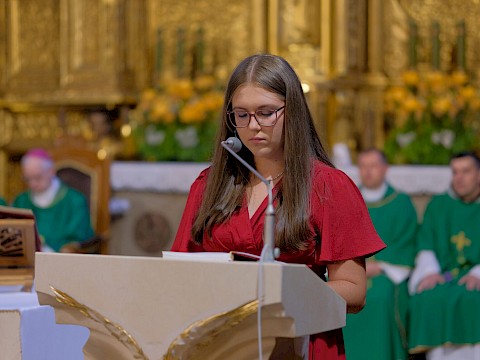 Zdjęcie 1 z 16