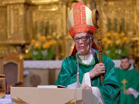 Zdjęcie 5 z 16