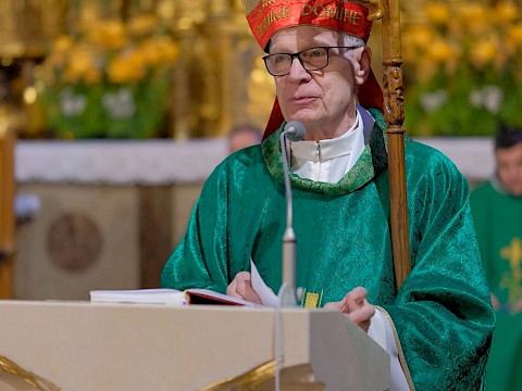 Zdjęcie 6 z 16