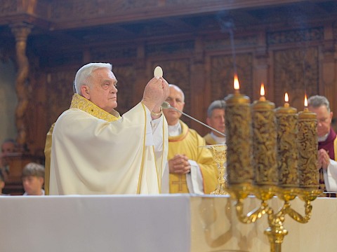 Zdjęcie 13 z 23