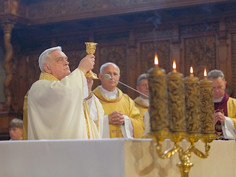 Zdjęcie 14 z 23