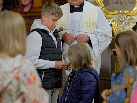 Zdjęcie 11 z 18