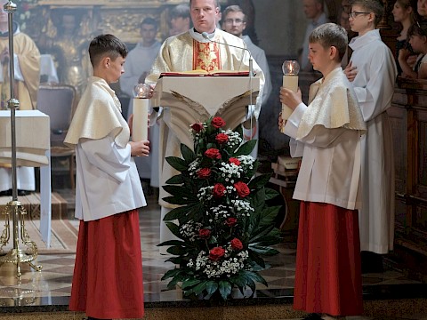 Zdjęcie 17 z 52