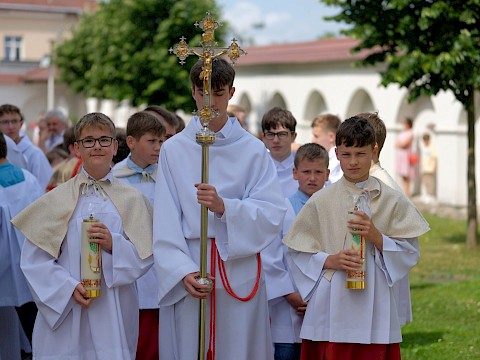 Zdjęcie 1 z 77