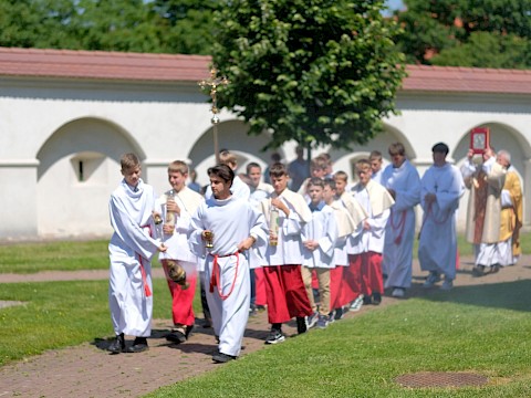 Zdjęcie 5 z 84