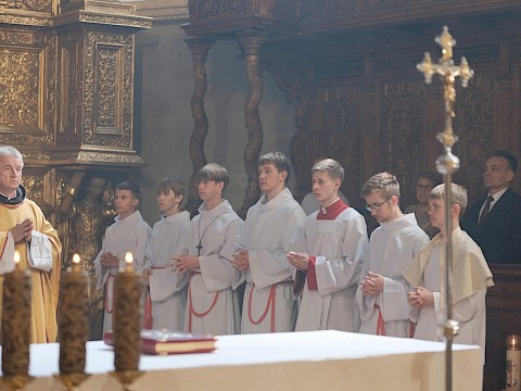 Zdjęcie 17 z 84