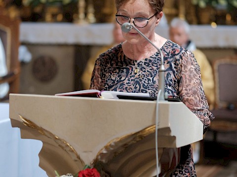 Zdjęcie 25 z 84