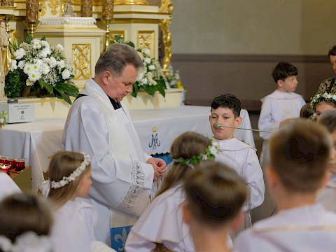 Zdjęcie 3 z 20