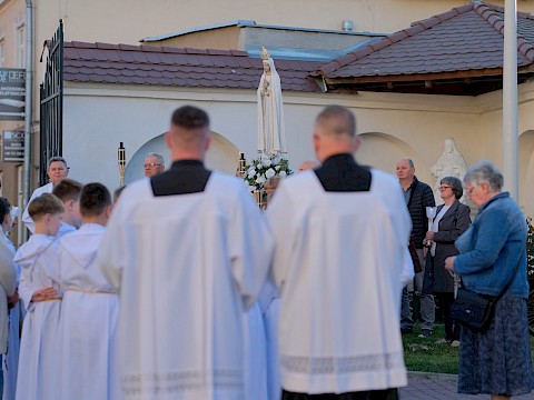 Zdjęcie 11 z 20