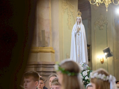Zdjęcie 5 z 19