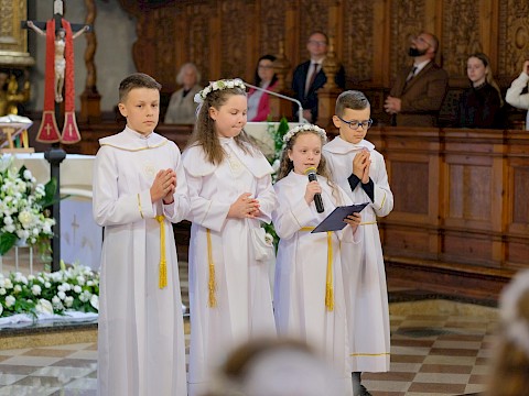 Zdjęcie 19 z 19