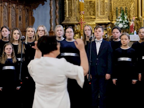 Zdjęcie 18 z 18