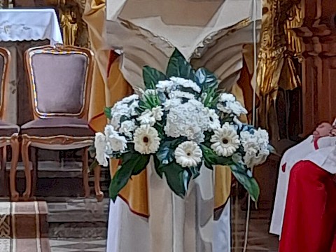 Zdjęcie 1 z 7