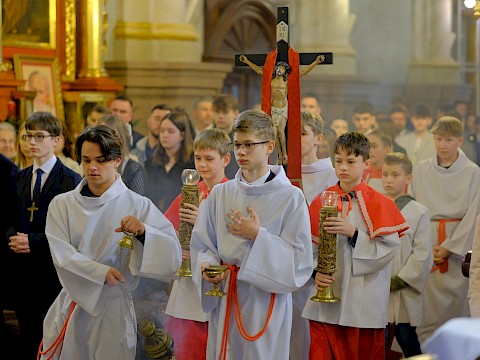 Zdjęcie 5 z 79