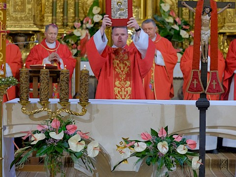 Zdjęcie 16 z 79