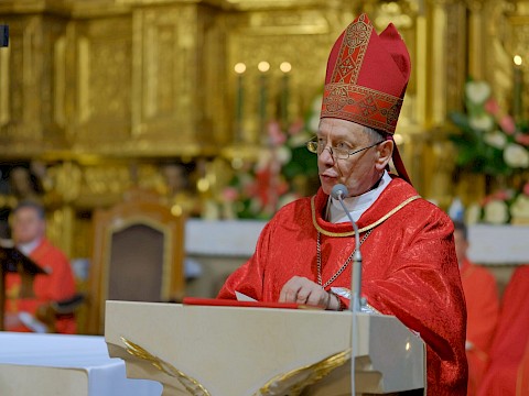 Zdjęcie 19 z 79