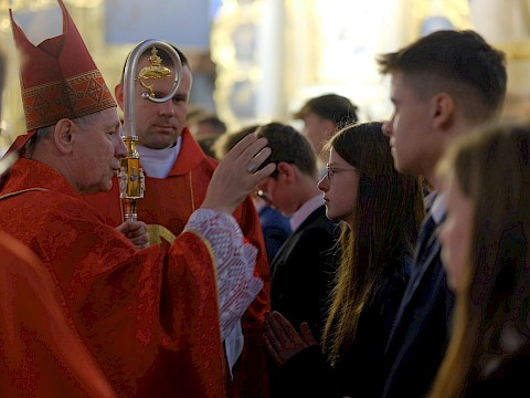 Zdjęcie 37 z 79