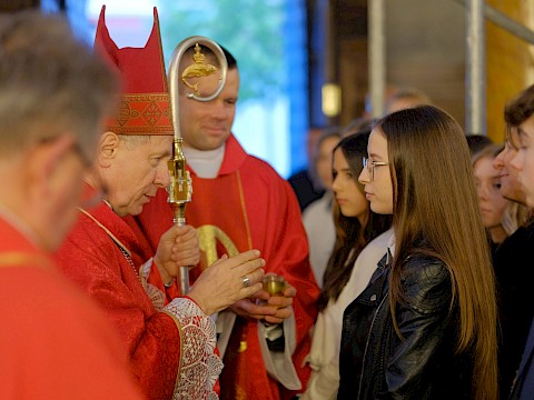 Zdjęcie 47 z 79
