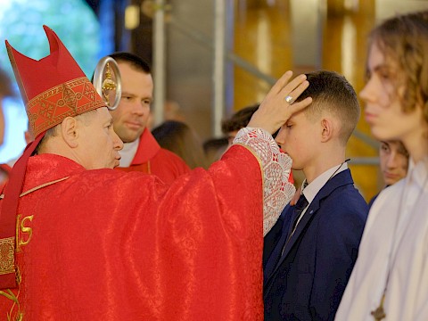 Zdjęcie 49 z 79