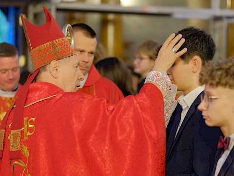 Zdjęcie 52 z 79