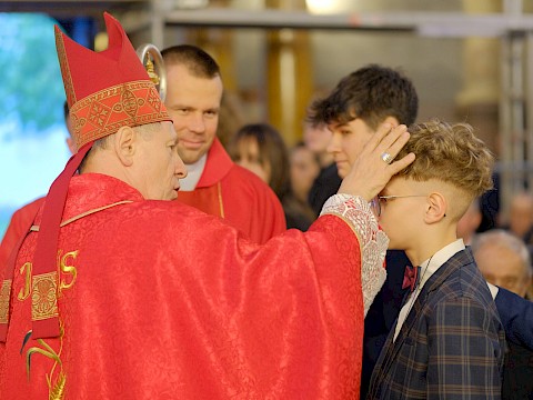 Zdjęcie 53 z 79