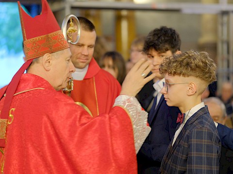 Zdjęcie 54 z 79