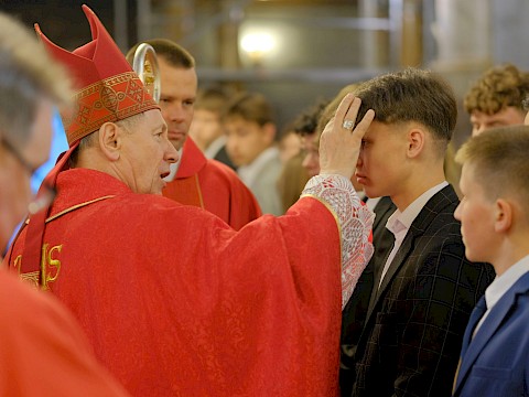 Zdjęcie 61 z 79
