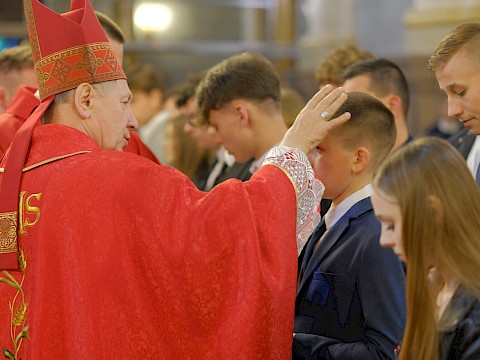 Zdjęcie 62 z 79