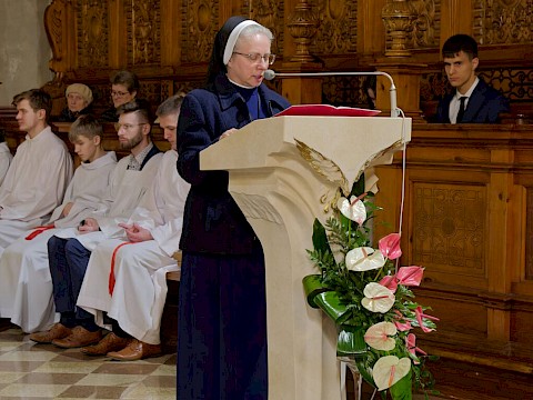 Zdjęcie 16 z 36