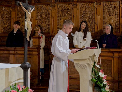 Zdjęcie 19 z 36