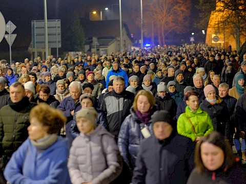 Zdjęcie 13 z 26