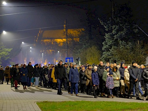 Zdjęcie 11 z 26