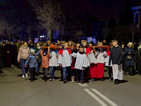 Zdjęcie 25 z 26