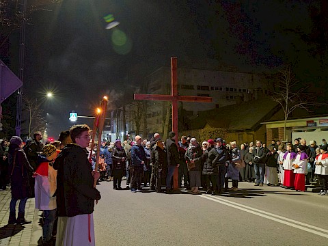 Zdjęcie 24 z 26