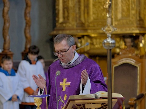 Zdjęcie 1 z 8