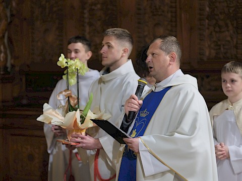 Zdjęcie 5 z 6