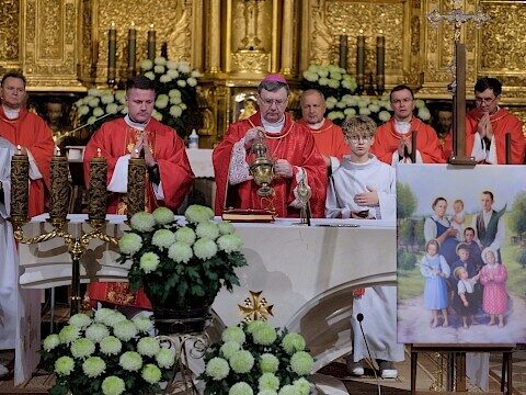 Zdjęcie 3 z 25