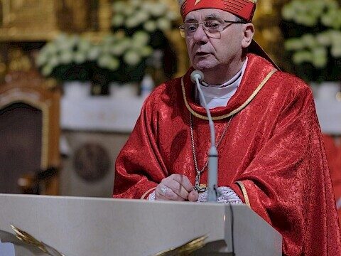 Zdjęcie 13 z 25