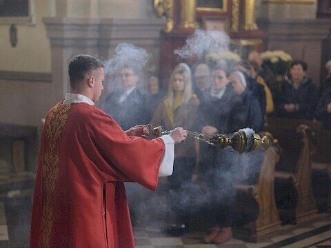 Zdjęcie 19 z 25