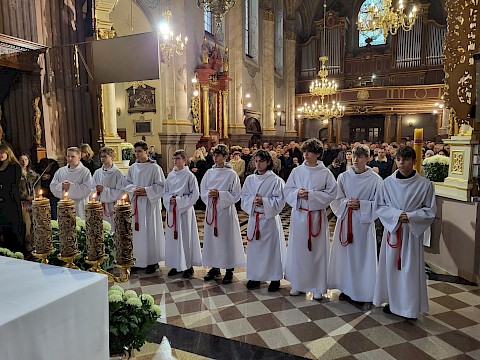 Zdjęcie 9 z 13