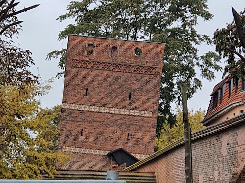 Zdjęcie 1 z 27