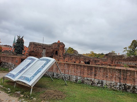 Zdjęcie 11 z 27