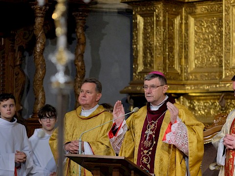 Zdjęcie 13 z 32