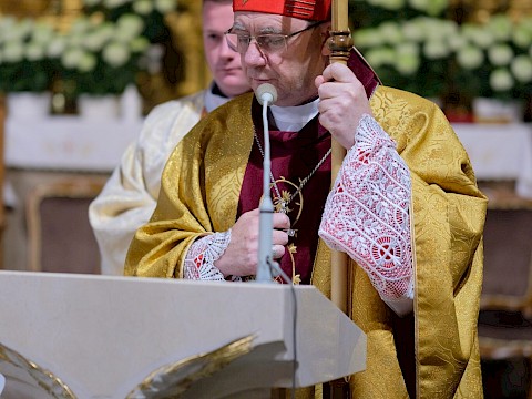 Zdjęcie 19 z 32