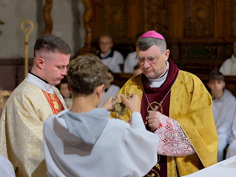 Zdjęcie 24 z 32