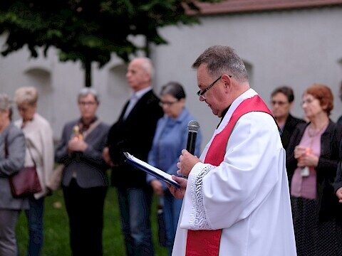 Zdjęcie 1 z 16